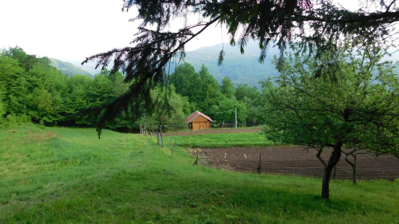 Robinzonski Turizam "Robin' S Hood" Skrad 外观 照片